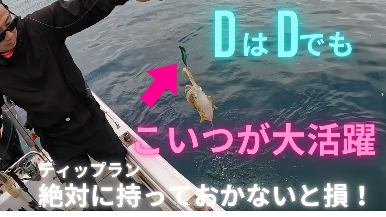 【ティップランエギング】DはDでもこいつが活躍！？絶対に持っておかないと損します