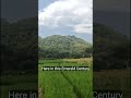 Where green fields meet gentle hills—this is nature at its most peaceful. #localguide