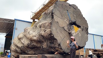 The Largest Super-Giant Wood Processing Project In Asia // How To Transport 120 Tons Of Timber Trees