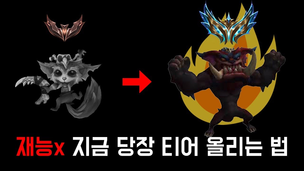 롤 지금 당장 티어 올리는 법