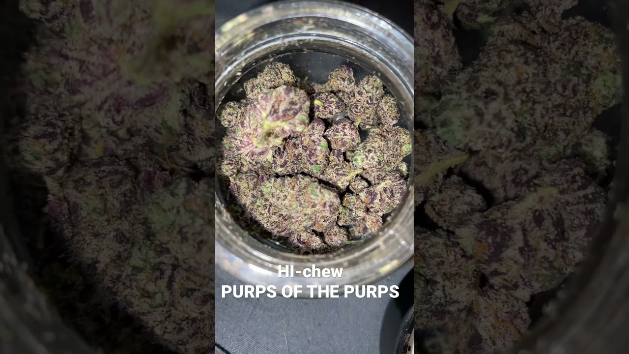 PURPLE BUD warning(HI-CHEW)