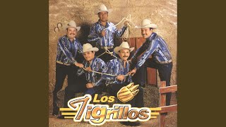 Video thumbnail of "Los Tigrillos - El federal de caminos"