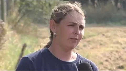 KATIE O'FLAHERTY GREYHOUND TRAINER HISTORY