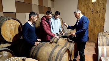 Vinarija Brkić
