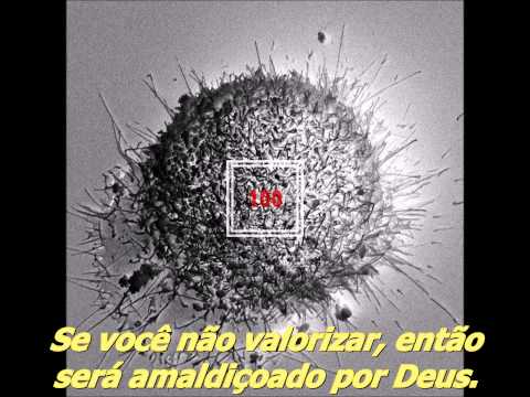 [PT-BR] Black Nut - 100 (Legendado)