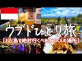 バリ島人気観光地ウブドひとり旅vlog【グルメ・食べ歩き・観光・海外旅行・一人旅・ブサキ寺院インドネシア】