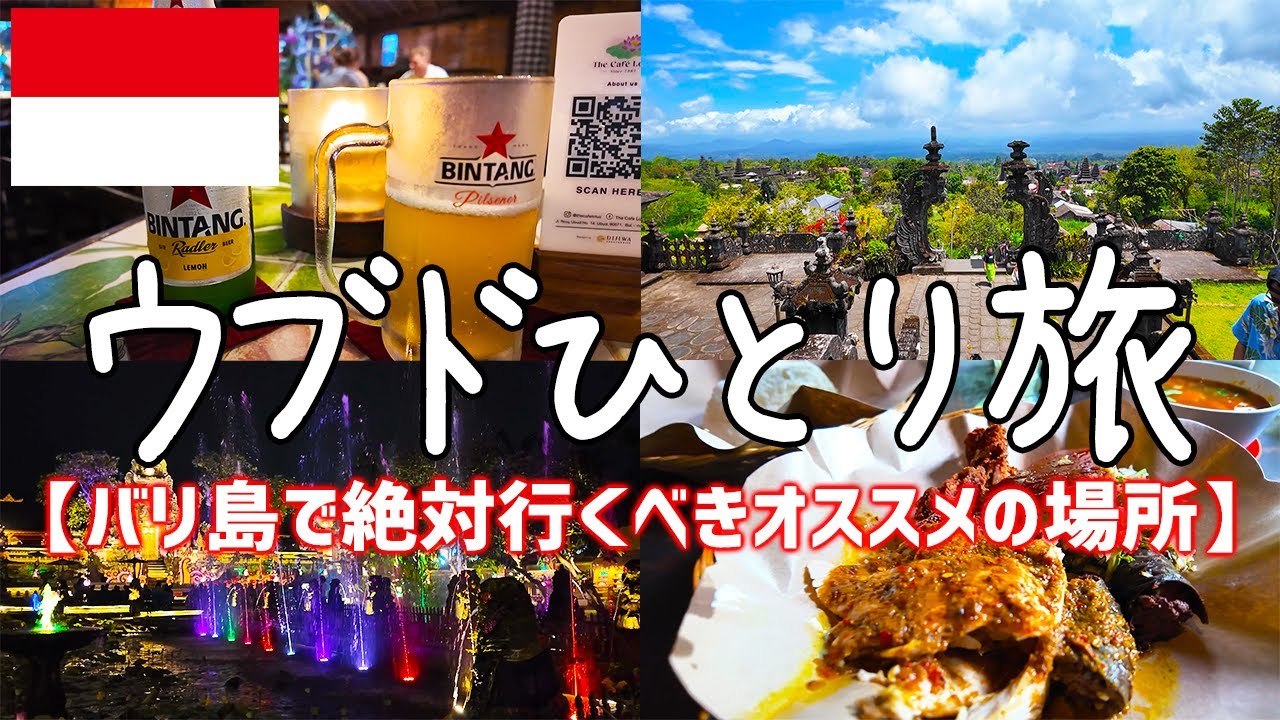 バリ島人気観光地ウブドひとり旅vlog【グルメ・食べ歩き・観光・海外旅行・一人旅・ブサキ寺院インドネシア】