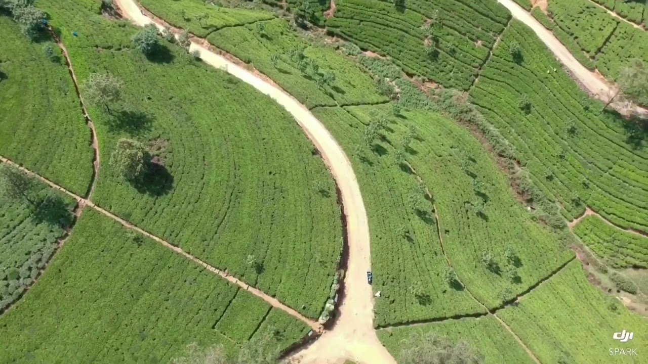 Edinburgh Tea Train Kelani Valley Plantations Agro-Tourism Discoveries ...