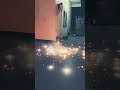 #happydiwali #2024shorts #taranadarsh #crackers