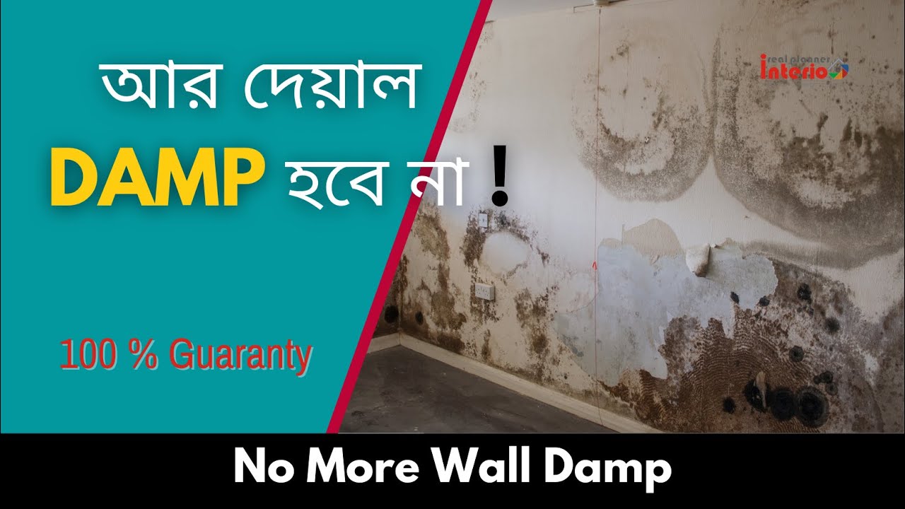 বাড়ির Wall  ডাম্প চিকিত্সা করবেন এই উপায়ে  100% প্রমাণিত  |  how to repair damp wall ?
