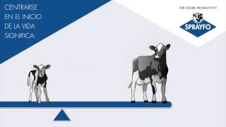 Maximice El Potencial Genético De Sus Terneros