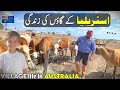 Australia 🇦🇺 Village Rural life Documentary in Urdu and Hindi | اسٹریلیا کے گاؤں کی زندگی