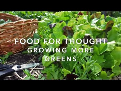 Do You Want to GROW MORE Fresh Food, IN LESS SPACE, ALL SEASON long?