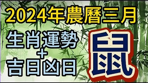 【古柏论命每月运势+吉日凶日】2024年农历三月(阳历2024年4/9 ~ 5/7)生肖运势分享 -  鼠 - 天天要闻