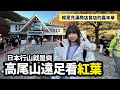 日本行山很爽的！高尾山遠足+看紅葉行程｜Ceci出遊之東京郊遊行程