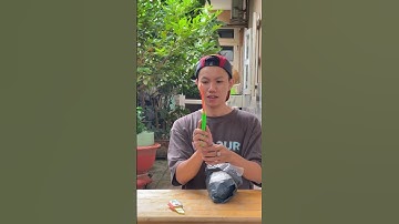 Tiếp tục chương trunhf dao cà rốt