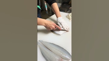 How to Fillet a Flounder Fish: A Simple Step-by-Step Guide! #flounder #fishfilleting