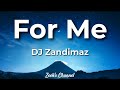 DJ Zandimaz - For Me ft. Michelle, Ceejay & Chuchu (Lyrics)