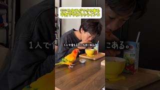 モテる女子テクニックを平気でやるインコ🦜あれ？いつ誰に習った？笑🦜 #インコ #インコのいる暮らし #暮らし #暮らしチャンネル #birds #セキセイインコ #コガネメキシコインコ #ペット