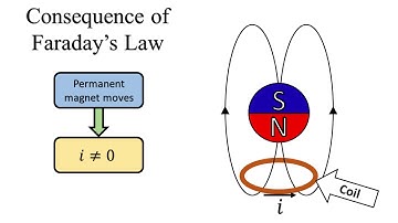 Electrodynamic Damper