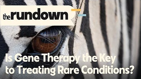 What is the State of Rare Disease Research? | The Rundown