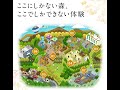 モビリティリゾートもてぎ ツインリンクもてぎ
