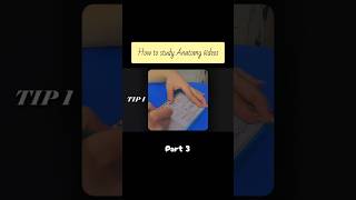 🚨 Students study Anatomy ☠📚 #study #studytips #students #studentlife #exampreparation #shorts