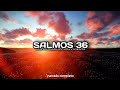 SALMOS 36 (narrado completo)NTV @reflexconvicentearcilalope5407 #biblia #salmos #dios #parati #fé
