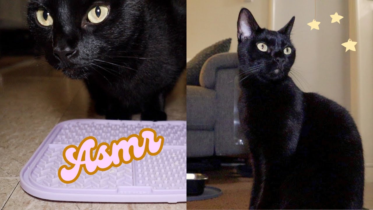 ASMR Relaxing Sounds on Textured Mats ft. my cat Salem