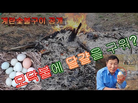 계란을 모닥불에 숯불구이 하는 방법(신기한 계란삶는법)을 공개합니다.