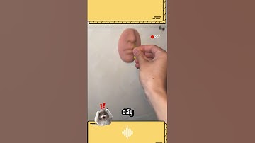 Xà phòng rửa tay