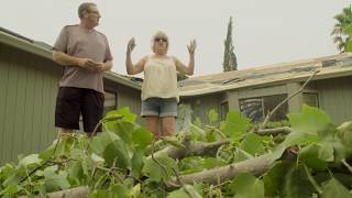 Carr Fire: Lake Redding Estates aftermath