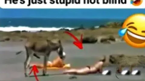 "So Funny, You'll Forget What You Were Doing!" | Part 8 😂😂