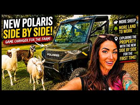 WE GOT A NEW POLARIS! 🚜🐑 Expanding Our Sheep Flock & Exploring the Farm!