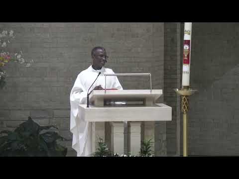 Homily - Fr. Jovita Okoli | Wednesday, April 15 | 9:00 AM Mass