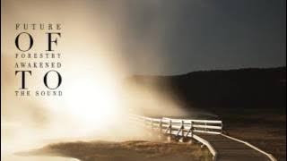 Future of Forestry - On Giant's Shoulders (Audio Only)