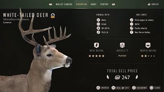 British Columbia whitetail deer hunt with 30.06 Springfield 150 soft point bullets screenshot 5