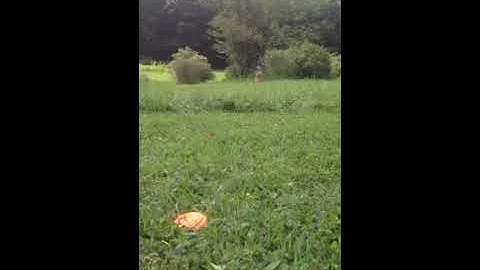 Flaming Explosive Target Between Two Logs