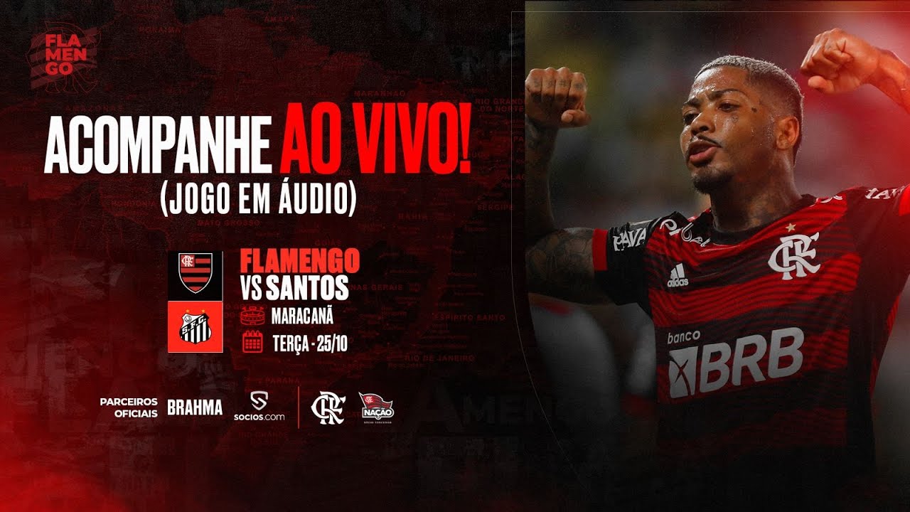 Flamengo x Santos ao vivo: acompanhe o jogo pelo Campeonato Brasileiro