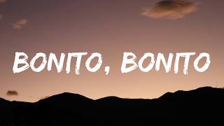 Bonito, Bonito – Thiago Navarro Music (Letra/Lyrics)