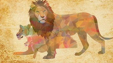 الشيخ ماهر المعيقلي سورة الرعد و ابراهيم و الحجر و النحل و الاسراء