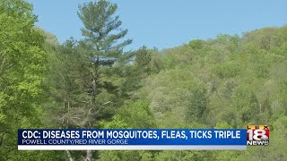 CDC: Diseases From Mosquitoes, Fleas, Ticks, Triple