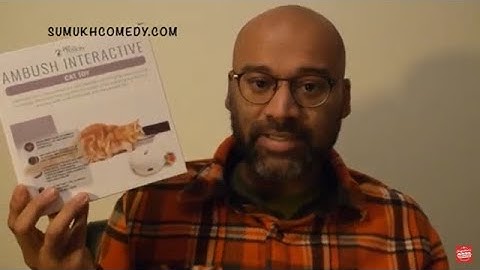 PetFusion Ambush Interactive Cat Toy Review