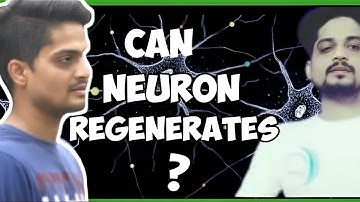 Can Neurons Regenerate? | Mythical Science in one minute