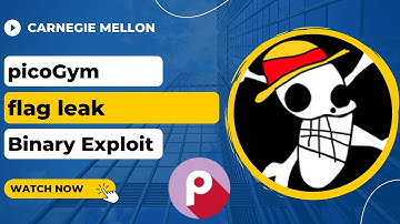 picoGym (picoCTF) Exercise: flag leak