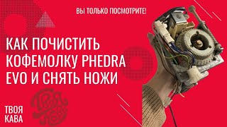 Как почистить кофемолку Phedra Evo и снять ножи