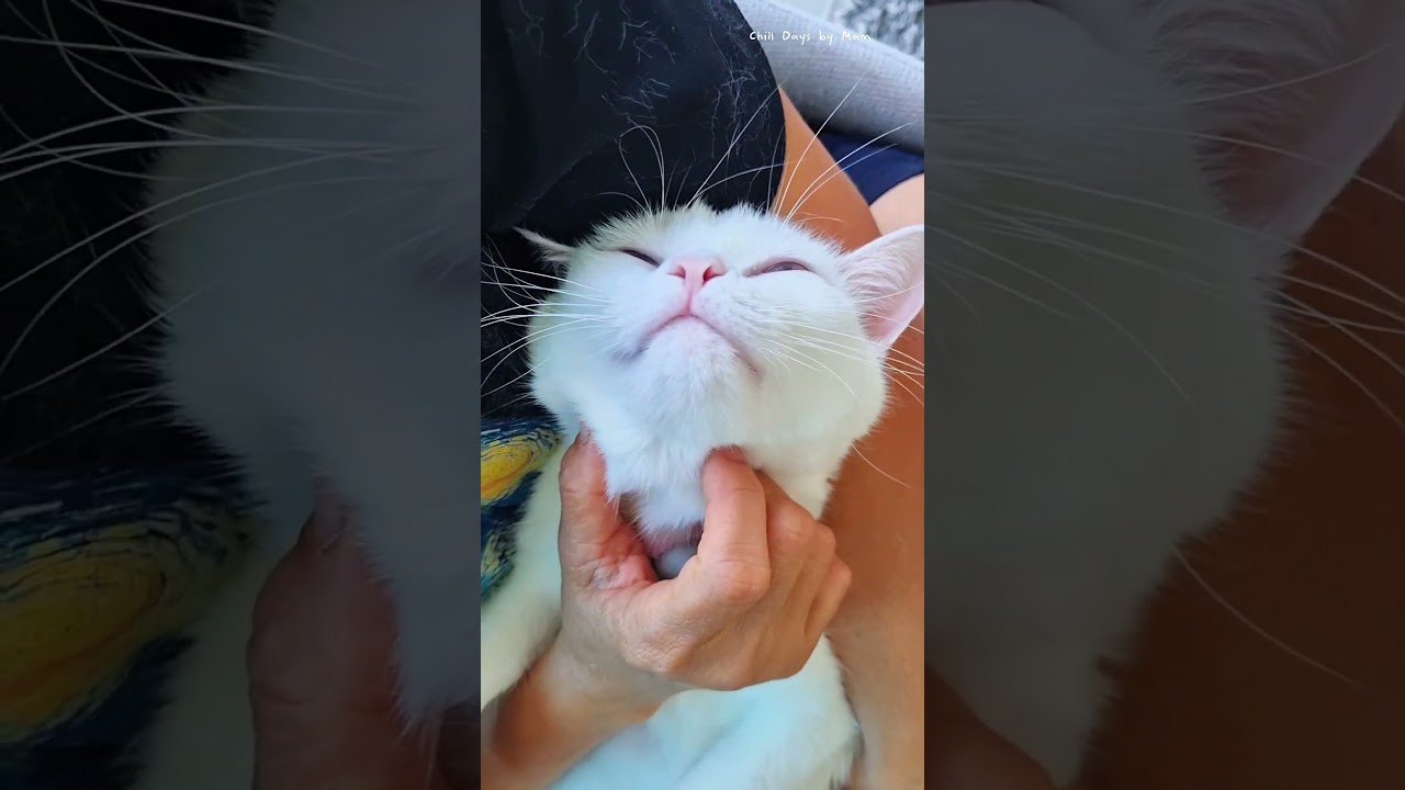 เคลิ้มแต่เช้า😺😘 