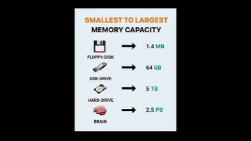 Smallest to Largest Capacity Comparison – Mind-Blowing Scale!