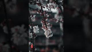 The poetic essence of Fenghuang Ancient City of Xiangxi is exactly what you need for a relaxing get