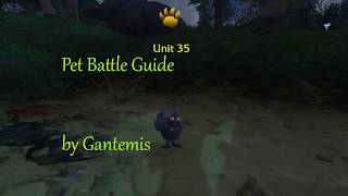 How to beat Unit 35 pet battle